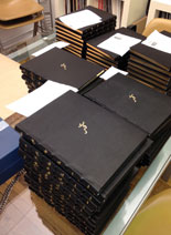 THE SATYR'S PLAY deluxe edition books